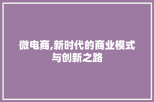 微电商,新时代的商业模式与创新之路 服务器/数据库