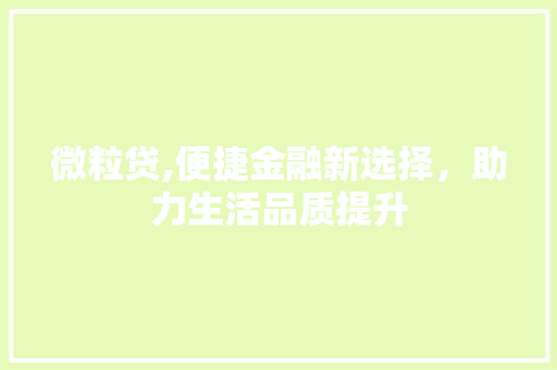 微粒贷,便捷金融新选择，助力生活品质提升