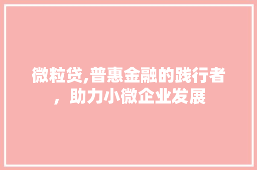 微粒贷,普惠金融的践行者，助力小微企业发展