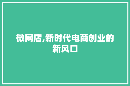 微网店,新时代电商创业的新风口