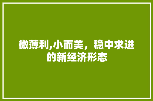 微薄利,小而美，稳中求进的新经济形态