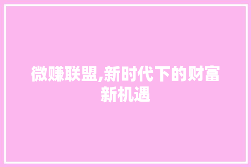 微赚联盟,新时代下的财富新机遇