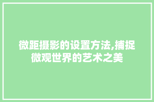 微距摄影的设置方法,捕捉微观世界的艺术之美
