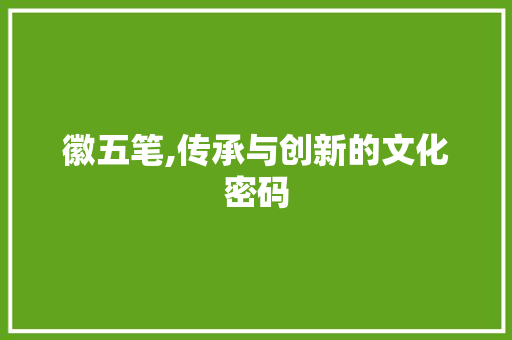 徽五笔,传承与创新的文化密码