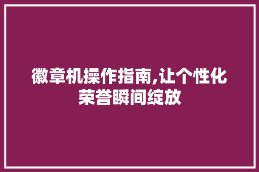 徽章机操作指南,让个性化荣誉瞬间绽放