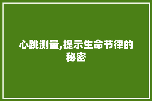 心跳测量,提示生命节律的秘密 友链在线