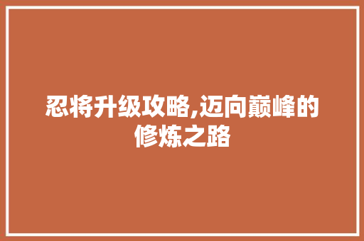 忍将升级攻略,迈向巅峰的修炼之路