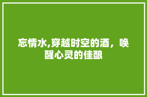 忘情水,穿越时空的酒，唤醒心灵的佳酿 服务器/数据库