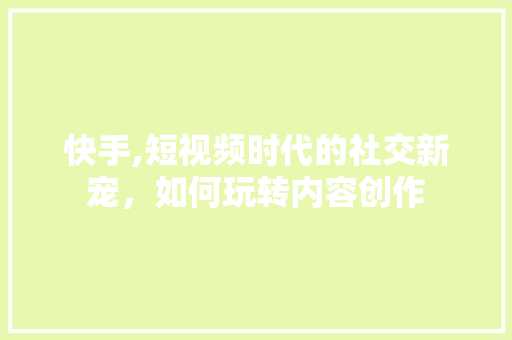 快手,短视频时代的社交新宠，如何玩转内容创作 建站教程