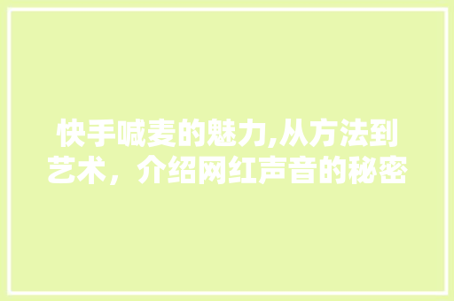 快手喊麦的魅力,从方法到艺术，介绍网红声音的秘密