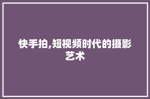快手拍,短视频时代的摄影艺术 SEO教程
