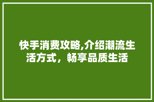 快手消费攻略,介绍潮流生活方式，畅享品质生活 建站教程
