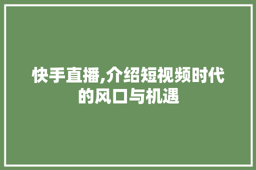 快手直播,介绍短视频时代的风口与机遇