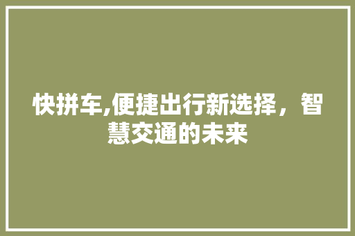 快拼车,便捷出行新选择，智慧交通的未来