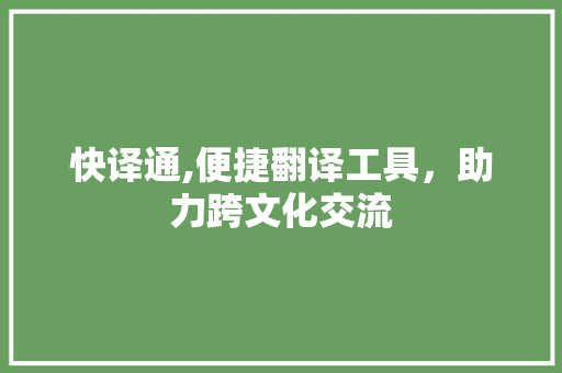 快译通,便捷翻译工具，助力跨文化交流 Web前端