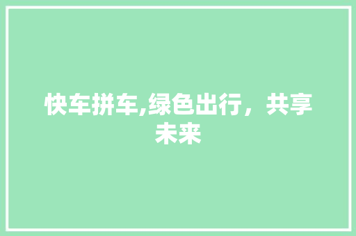 快车拼车,绿色出行，共享未来 服务器/数据库