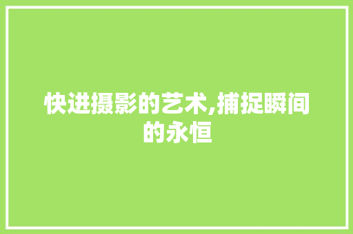 快进摄影的艺术,捕捉瞬间的永恒 友链在线