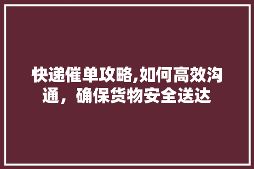 快递催单攻略,如何高效沟通，确保货物安全送达 服务器/数据库