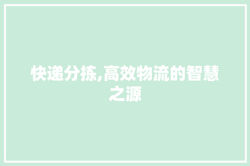 快递分拣,高效物流的智慧之源 建站教程