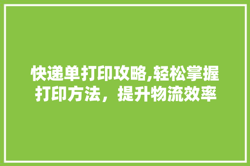 快递单打印攻略,轻松掌握打印方法，提升物流效率 Web前端