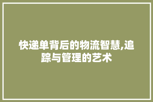 快递单背后的物流智慧,追踪与管理的艺术 WordPress教程