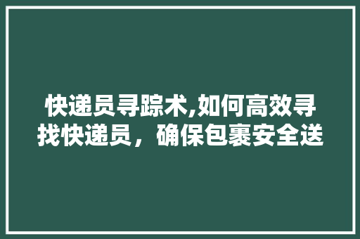 快递员寻踪术,如何高效寻找快递员，确保包裹安全送达 Web前端