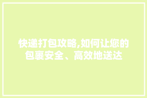 快递打包攻略,如何让您的包裹安全、高效地送达 SEO教程