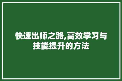 快速出师之路,高效学习与技能提升的方法