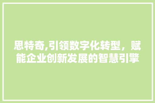 思特奇,引领数字化转型，赋能企业创新发展的智慧引擎