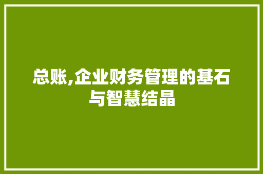 总账,企业财务管理的基石与智慧结晶