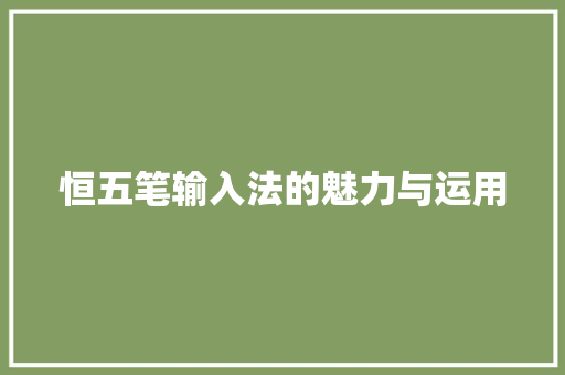 恒五笔输入法的魅力与运用