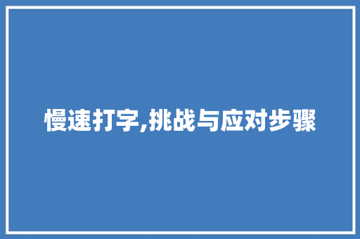 慢速打字,挑战与应对步骤