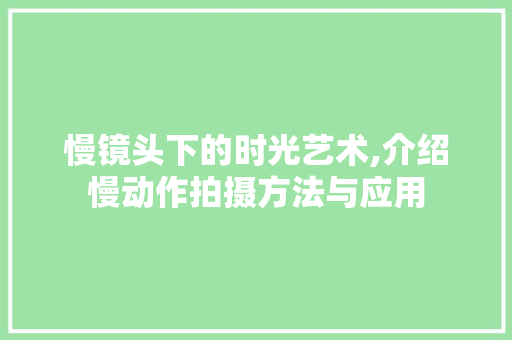 慢镜头下的时光艺术,介绍慢动作拍摄方法与应用