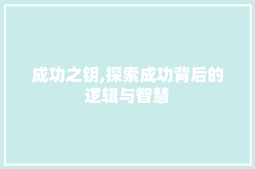 成功之钥,探索成功背后的逻辑与智慧