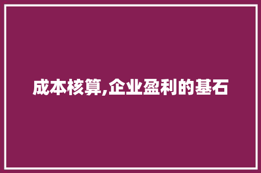 成本核算,企业盈利的基石