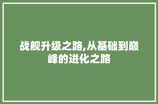 战舰升级之路,从基础到巅峰的进化之路