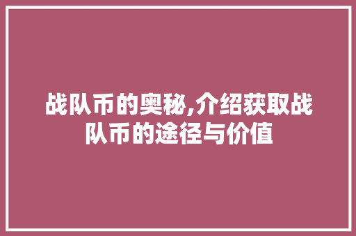 战队币的奥秘,介绍获取战队币的途径与价值