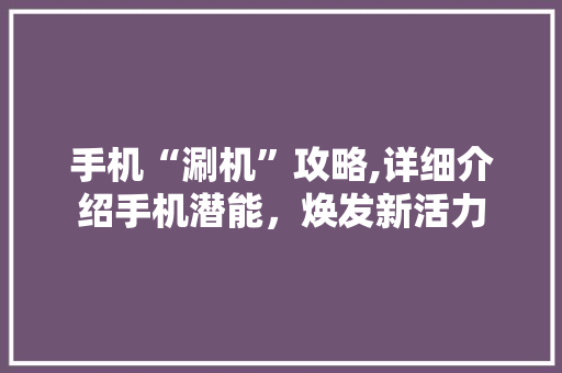 手机“涮机”攻略,详细介绍手机潜能，焕发新活力