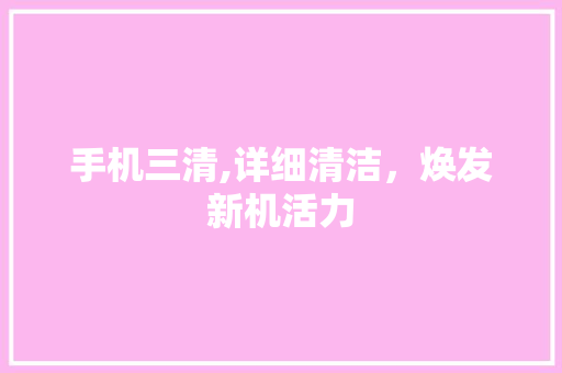 手机三清,详细清洁，焕发新机活力