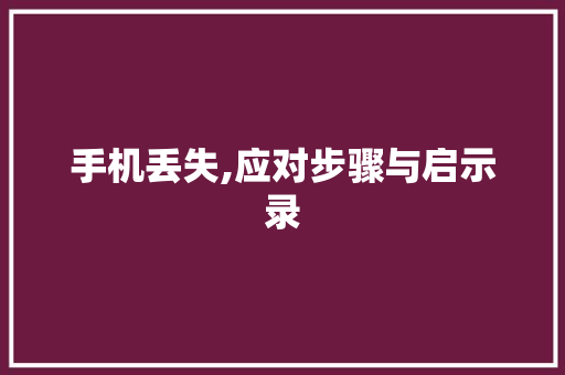 手机丢失,应对步骤与启示录