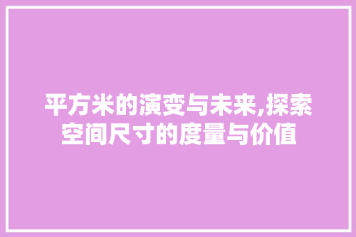 平方米的演变与未来,探索空间尺寸的度量与价值