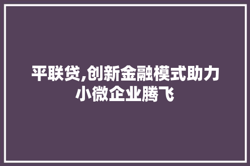平联贷,创新金融模式助力小微企业腾飞