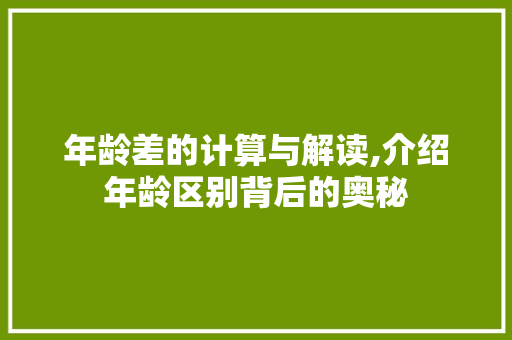 年龄差的计算与解读,介绍年龄区别背后的奥秘