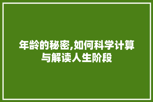 年龄的秘密,如何科学计算与解读人生阶段
