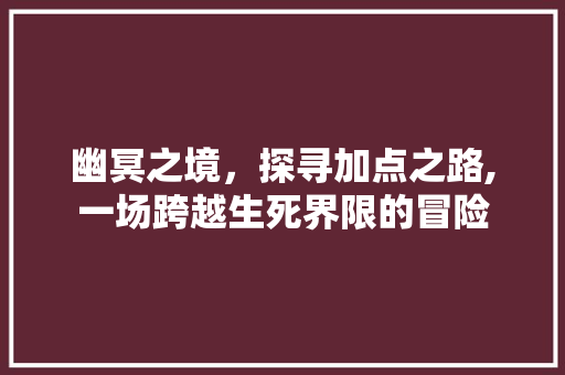 幽冥之境，探寻加点之路,一场跨越生死界限的冒险