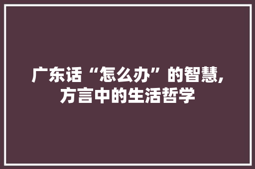 广东话“怎么办”的智慧,方言中的生活哲学