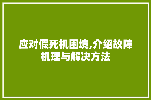 应对假死机困境,介绍故障机理与解决方法 应对假死机困境,介绍故障机理与解决方法