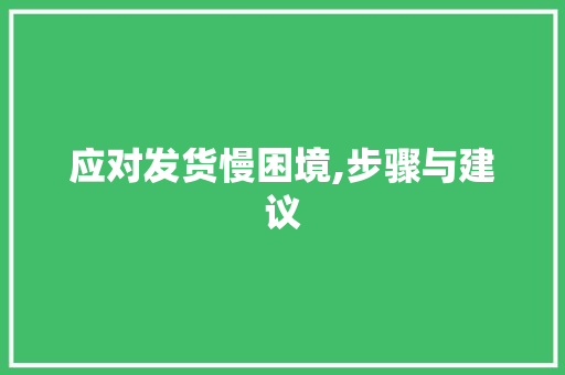 应对发货慢困境,步骤与建议 应对发货慢困境,步骤与建议