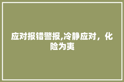 应对报错警报,冷静应对，化险为夷