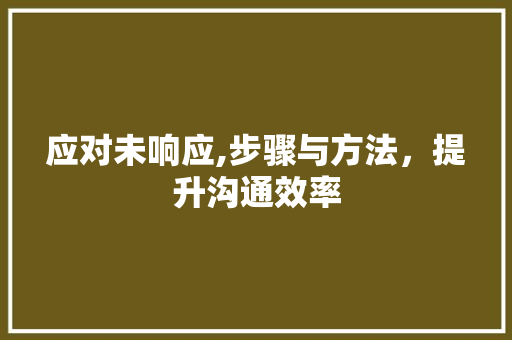 应对未响应,步骤与方法,提升沟通效率 应对未响应,步骤与方法,提升沟通效率
